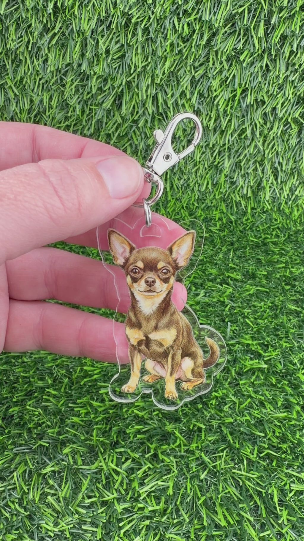 Chihuahua Chocolate and Tan Keychain