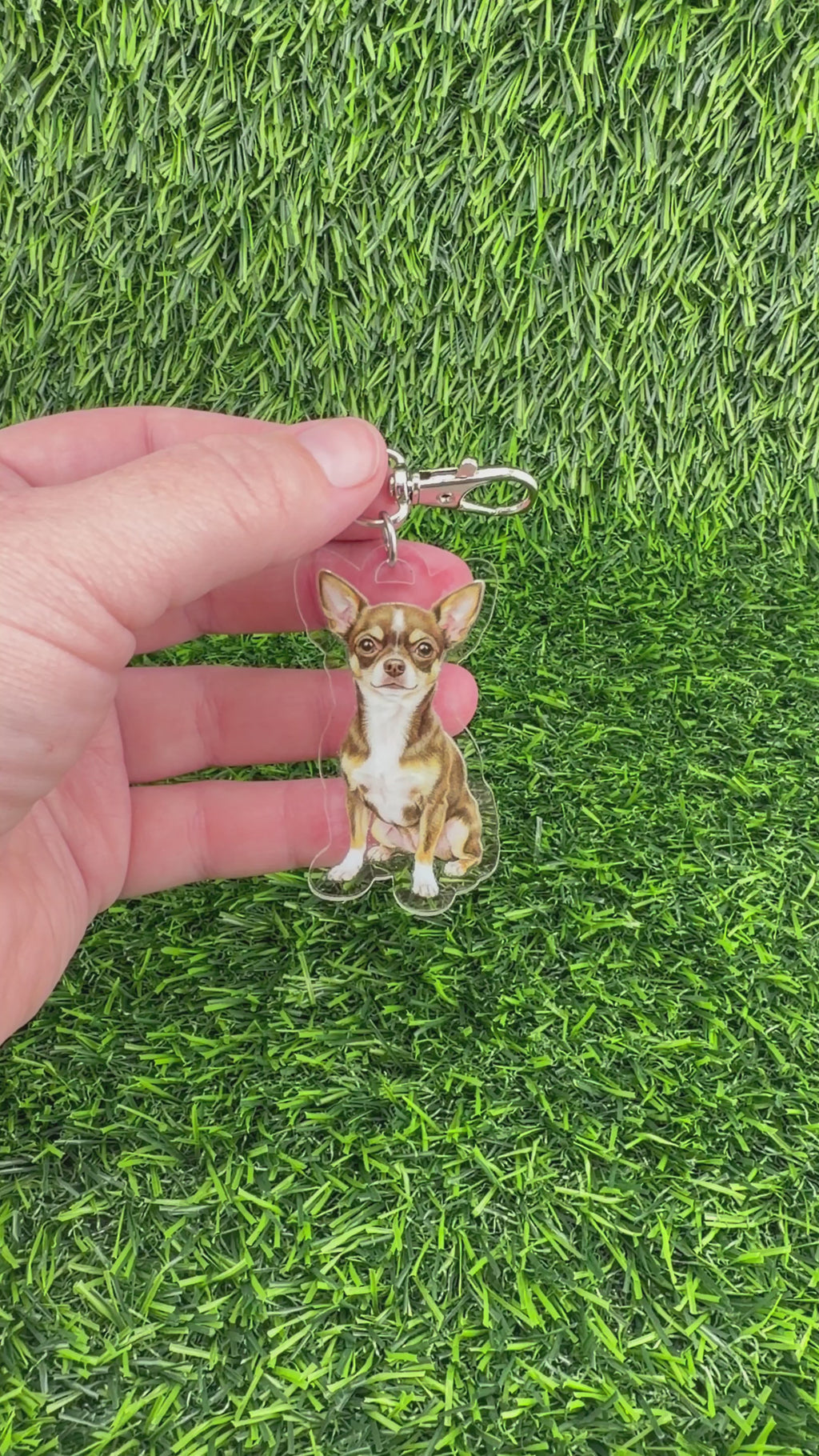 Chihuahua Chocolate and White Keychain