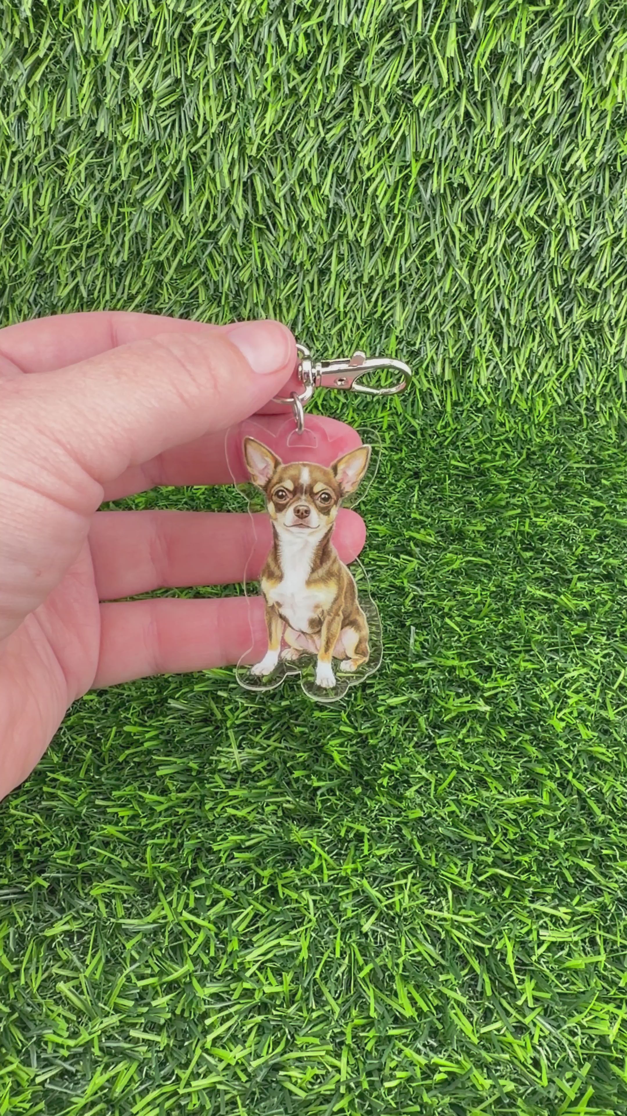 Chihuahua Chocolate and White Keychain