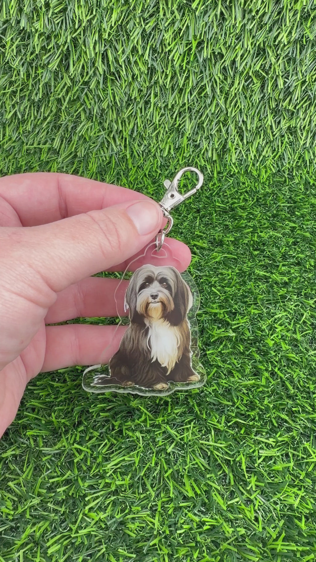 Havanese Brown and Tan Keychain