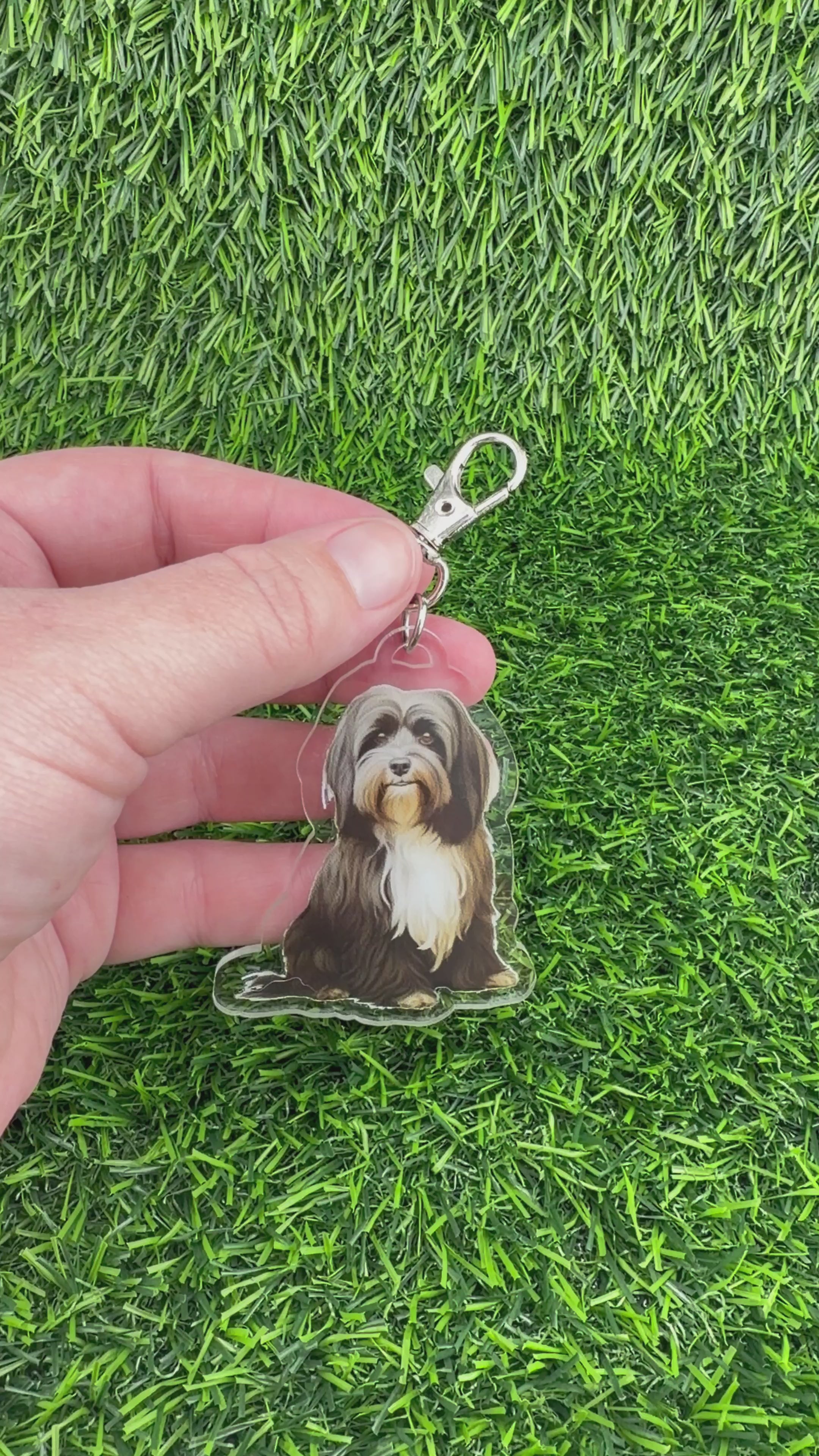 Havanese Brown and Tan Keychain
