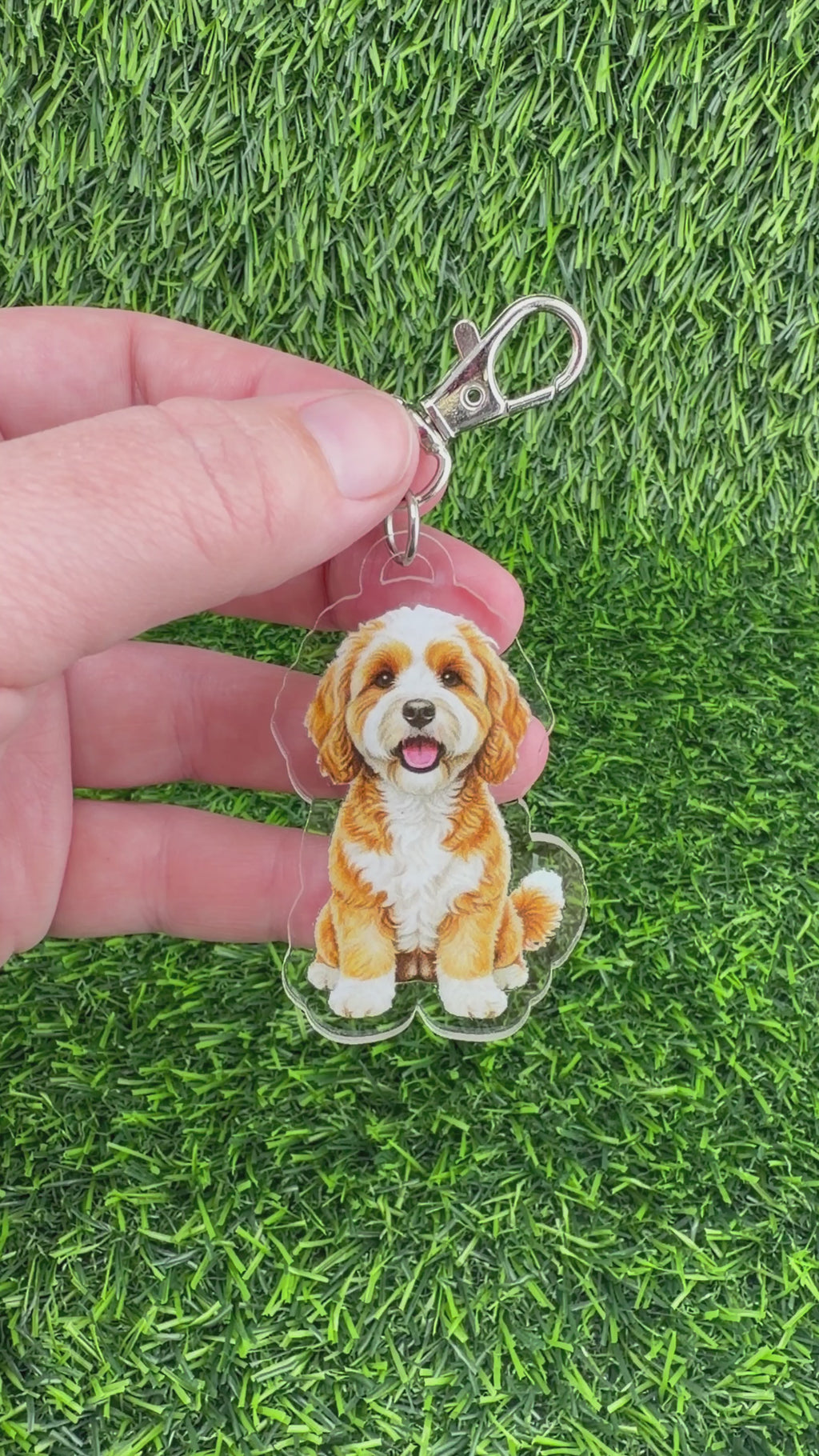 Cavapoo Apricot and White Keychain