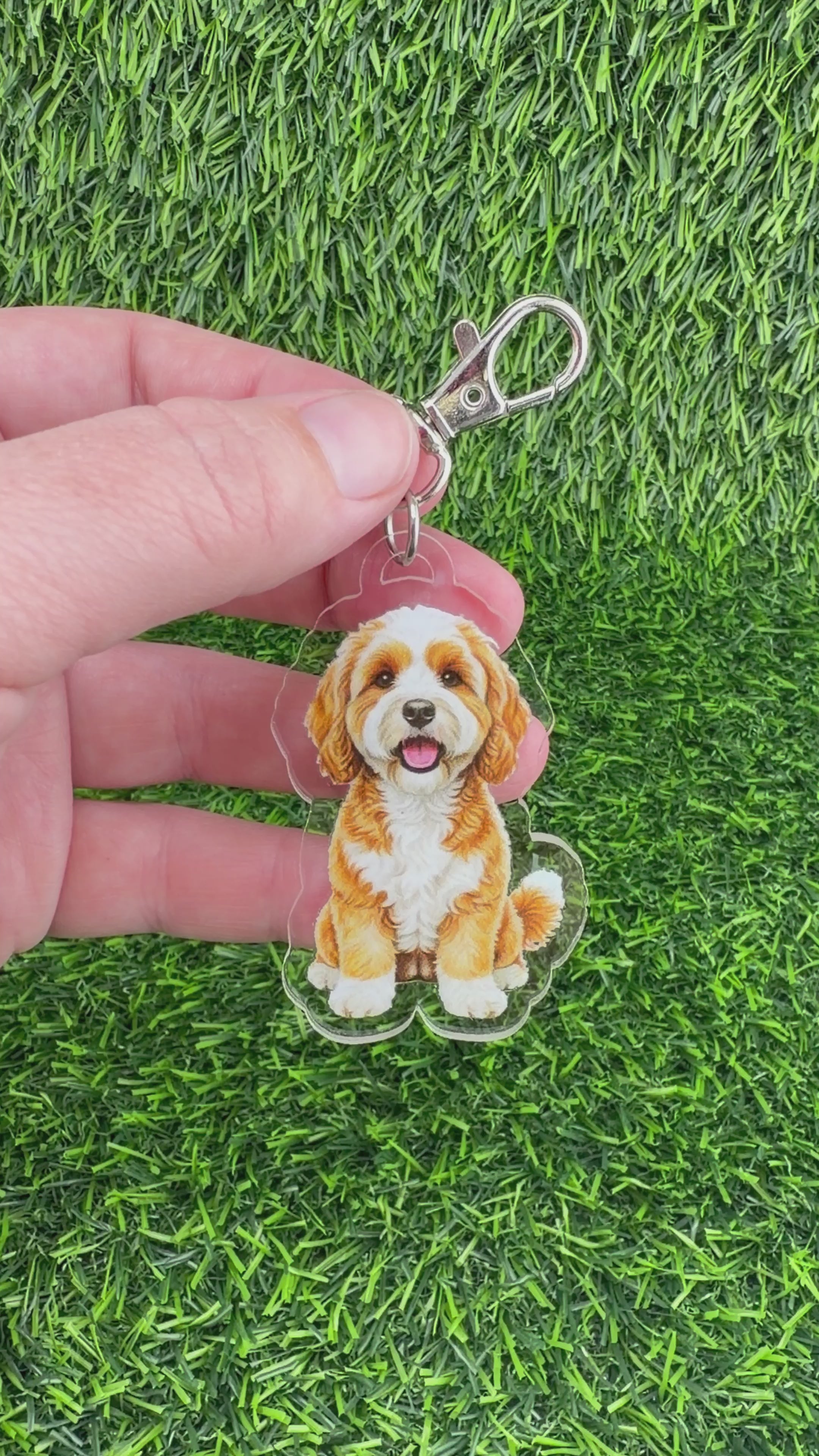 Cavapoo Apricot and White Keychain