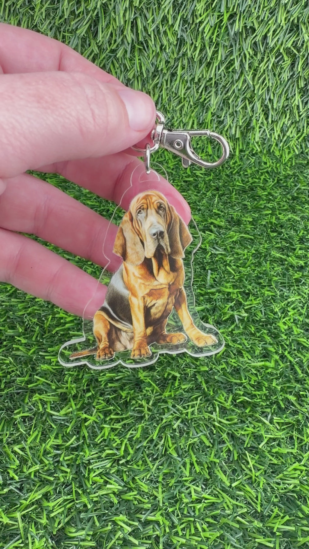 Bloodhound Tan and Black Keychain