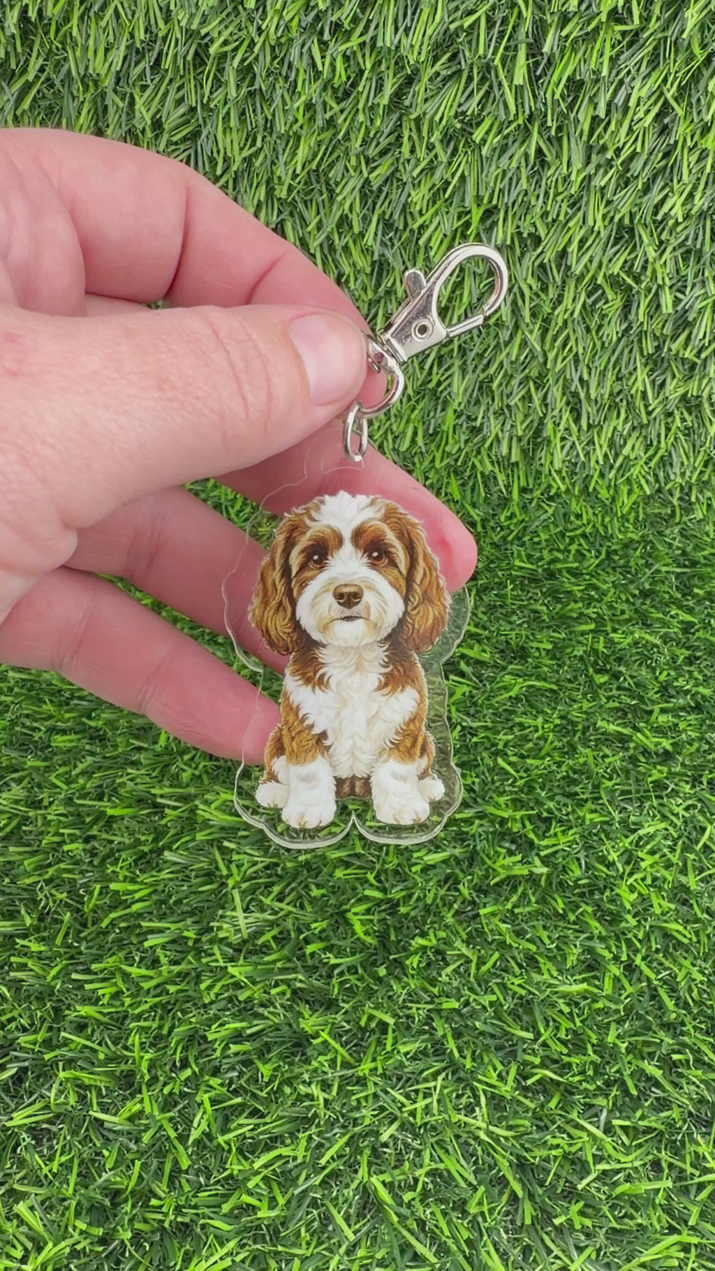 Cavapoo Brown and White Keychain