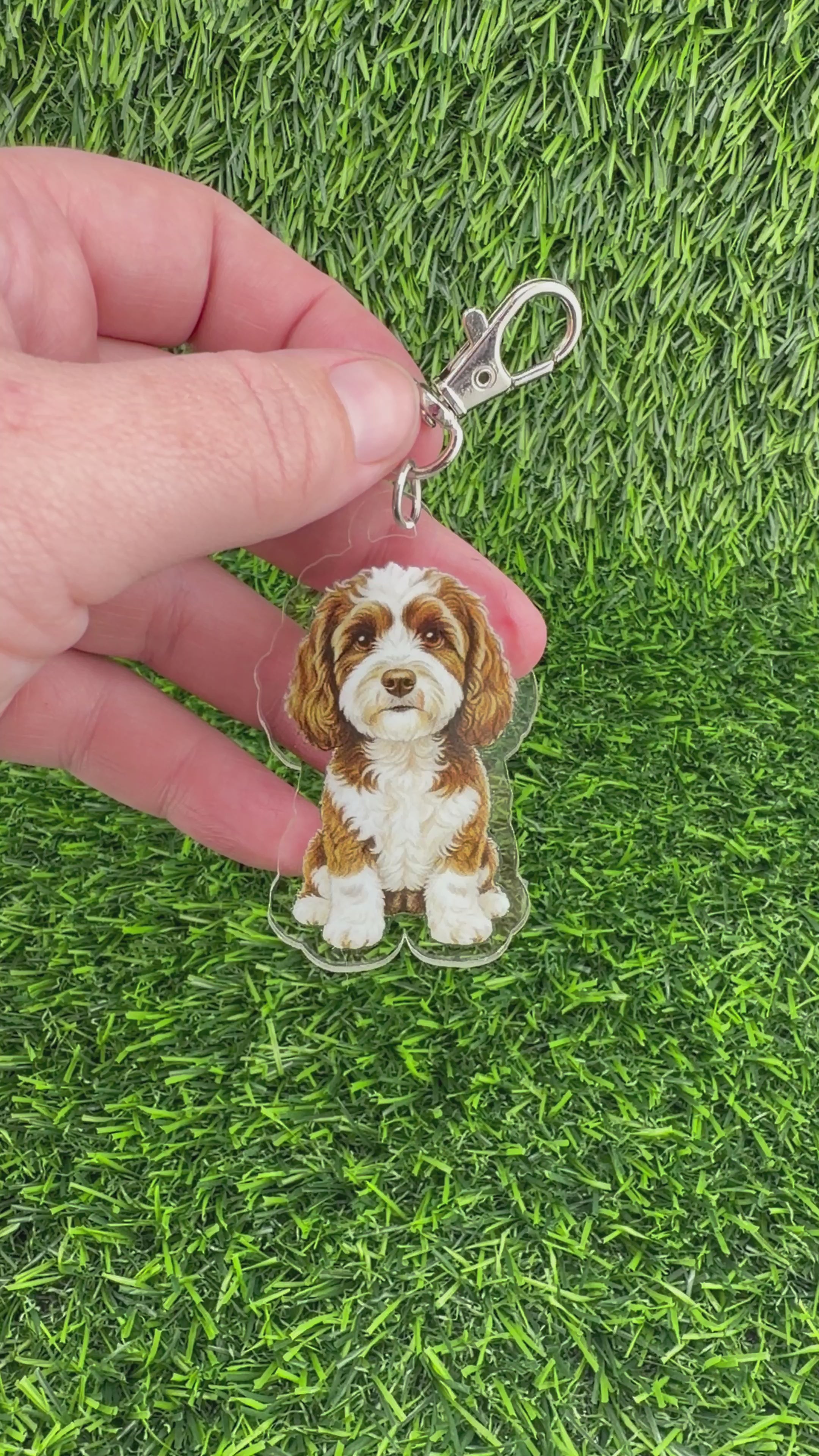 Cavapoo Brown and White Keychain