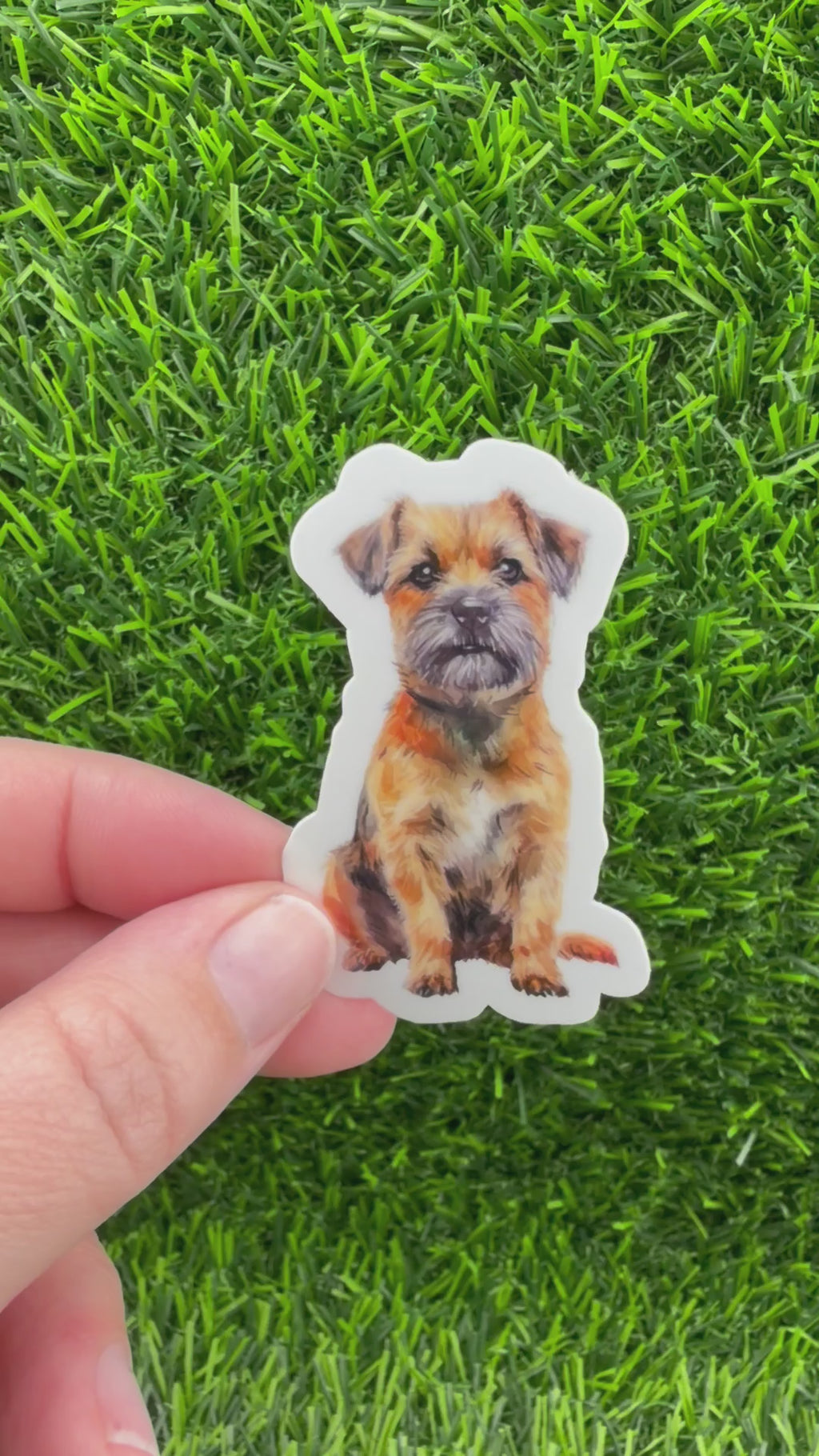 Border Terrier Sticker